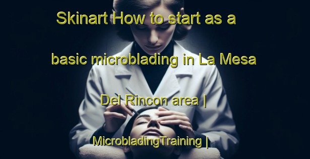 Skinart How to start as a basic microblading in La Mesa Del Rincon area | MicrobladingTraining | MicrobladingClasses | SkinartTraining-Mexico